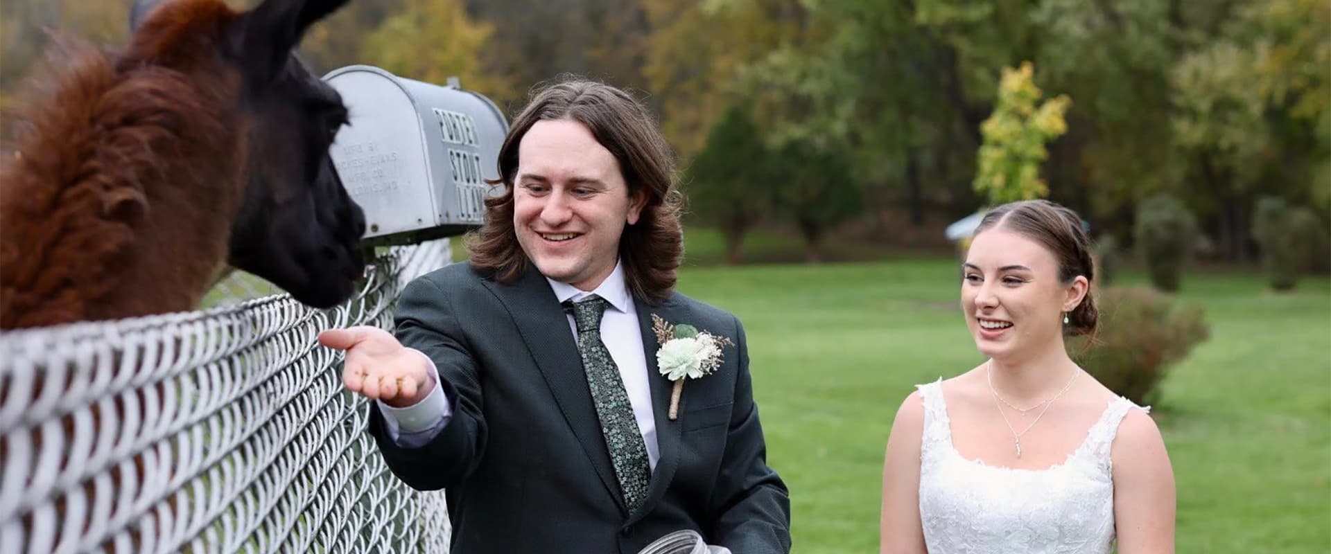 A smiling couple in formal attire interacts with a llama by a fence at an outdoor wedding.