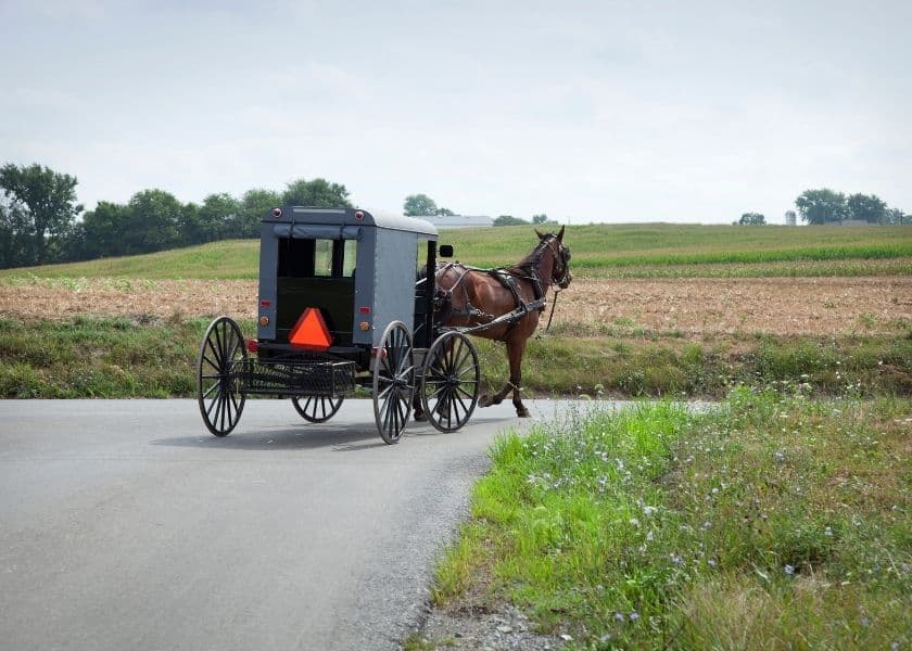 A black Amish buggy with an orange caution triangle on the back turning onto a country road. A black Amish buggy with an orange caution triangle on the back turning onto a country road.