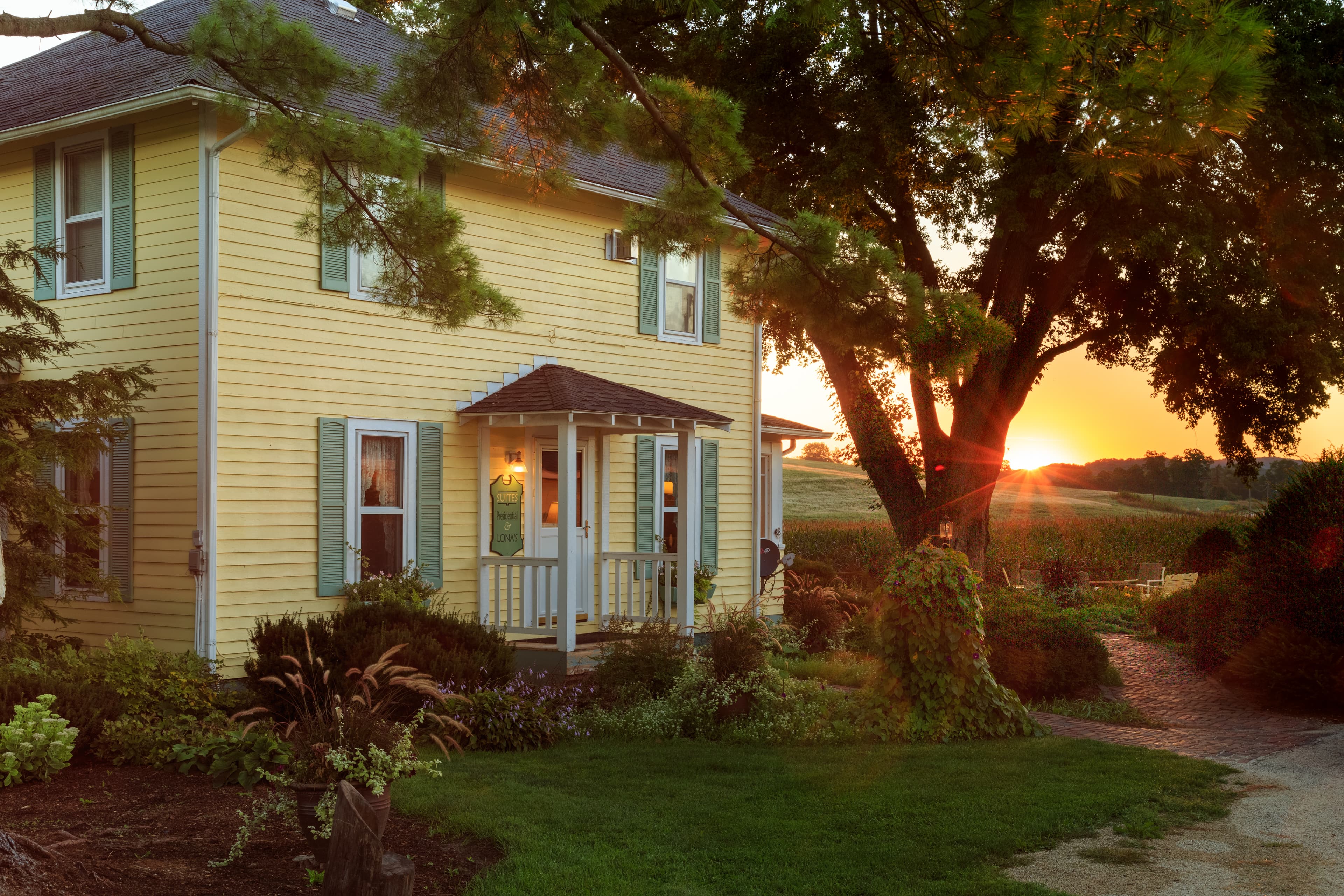 Yellow fourquare house with green shutters, large silver maple and white pine tree with sun setting in the background.