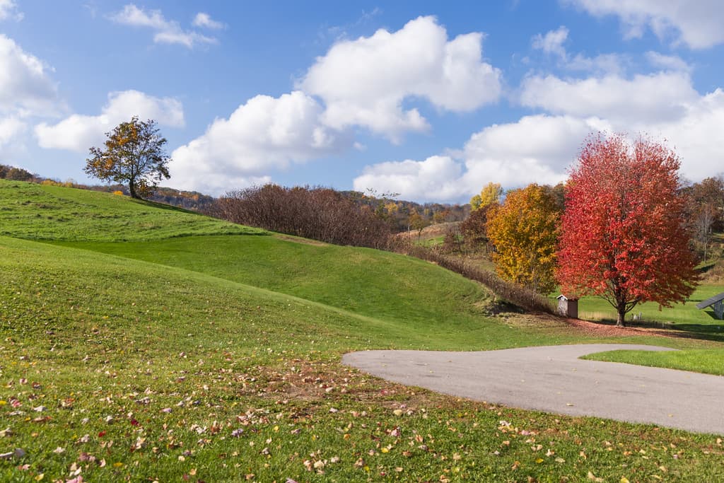 A lanscape with rolling green grass hills, and red fall colored trees