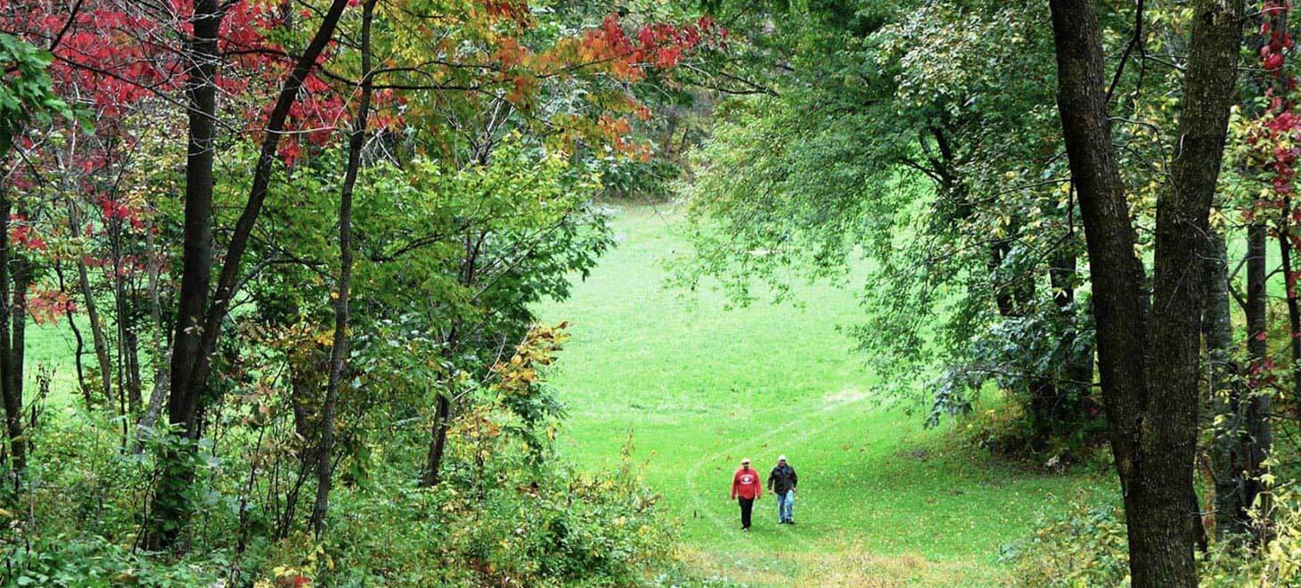 Two people walking on a path through a vibrant, tree-lined landscape.